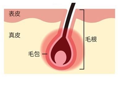  SHR方式（ルミクスA9）